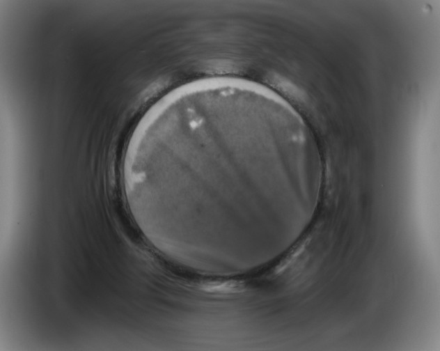 X0000085270202200703301901