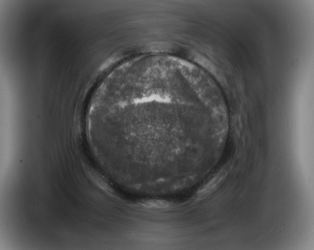 X0000085270203200703301901