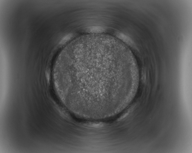 X0000085270206200703301901