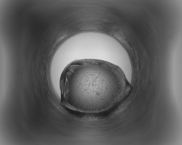 X0000085270207200703301901