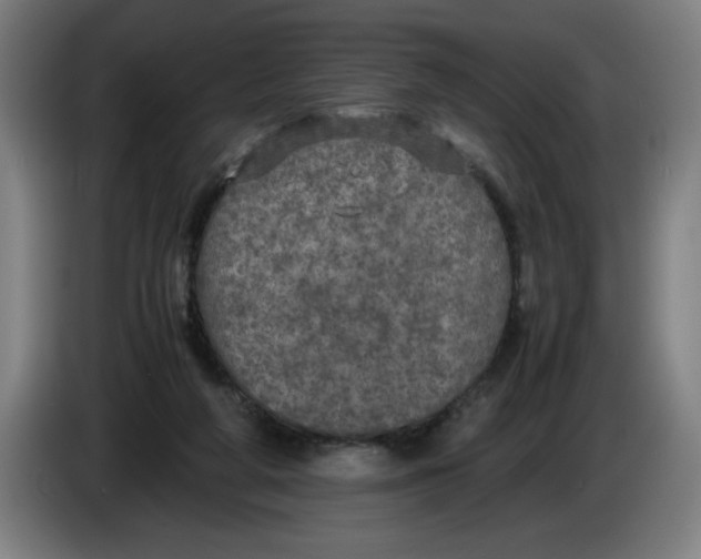 X0000085270210200703301901