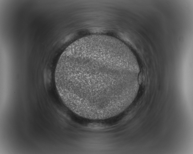 X0000085270211200703301901