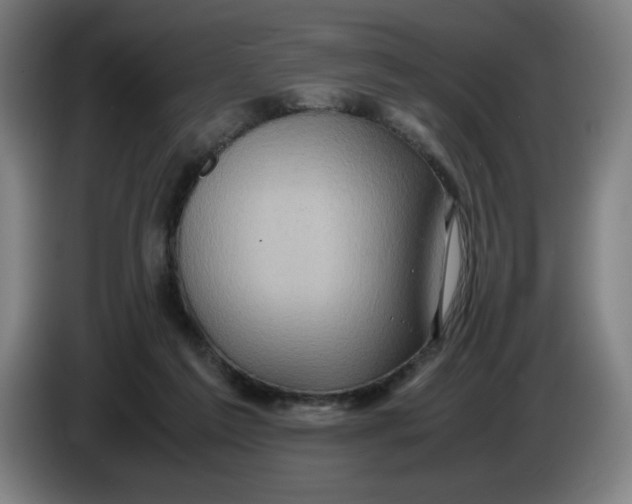 X0000085270213200703301901