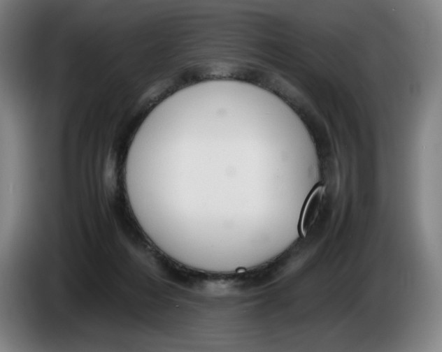 X0000085270216200703301901