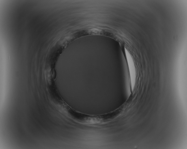 X0000085270223200703301901