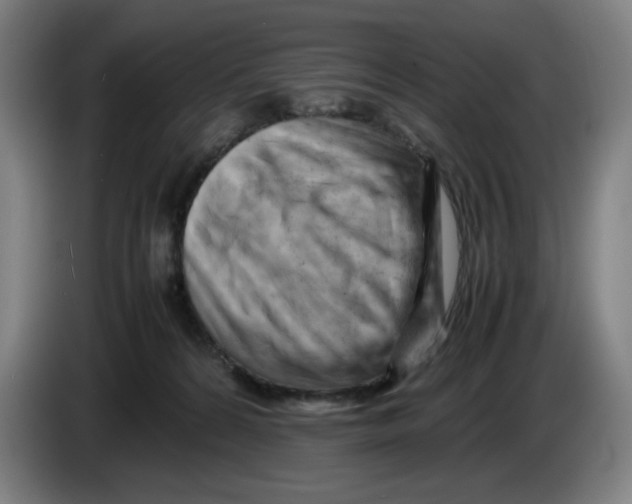 X0000085270224200703301901