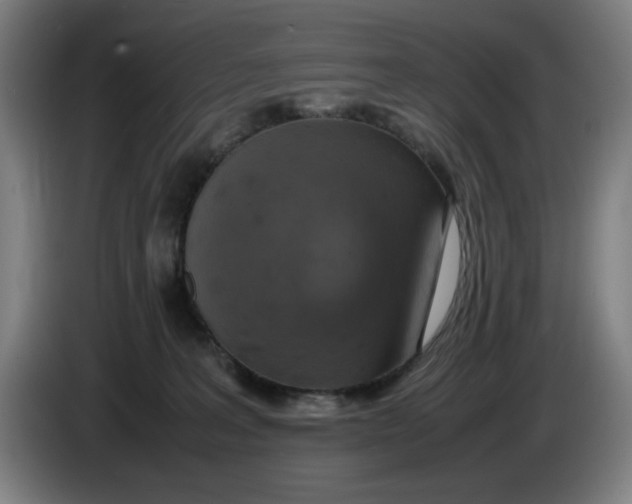 X0000085270227200703301901