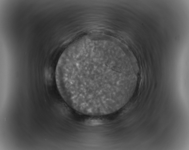 X0000085270228200703301901