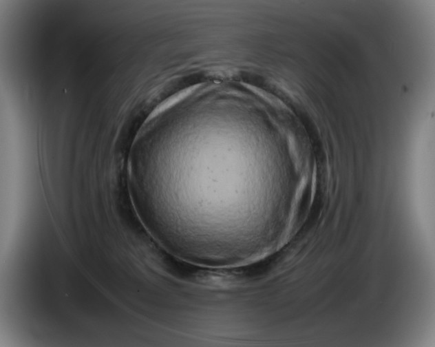 X0000085270229200703301901