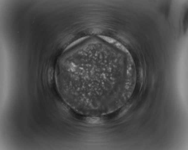 X0000085270230200703301901