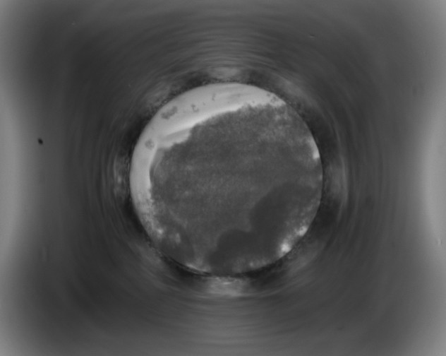 X0000085270234200703301901