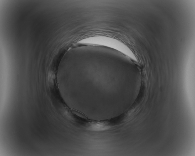 X0000085270235200703301901