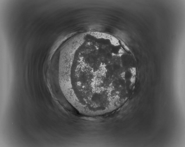 X0000085270241200703301900