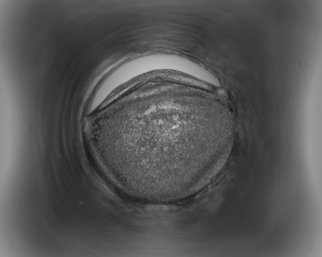 X0000085270242200703301900