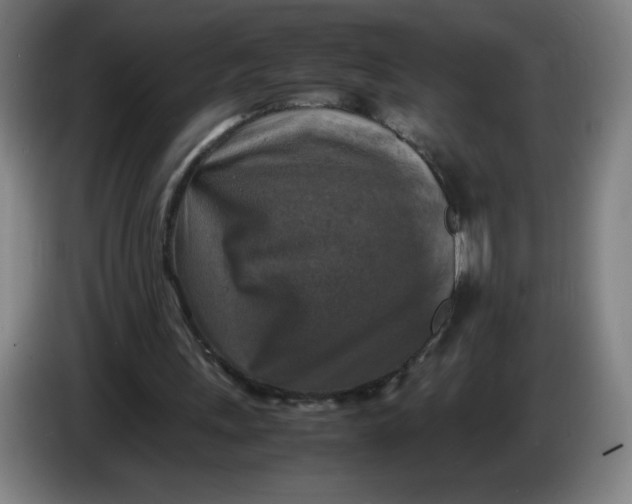 X0000085270243200703301900