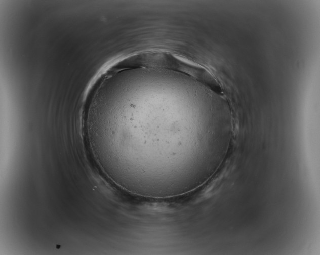 X0000085270244200703301900