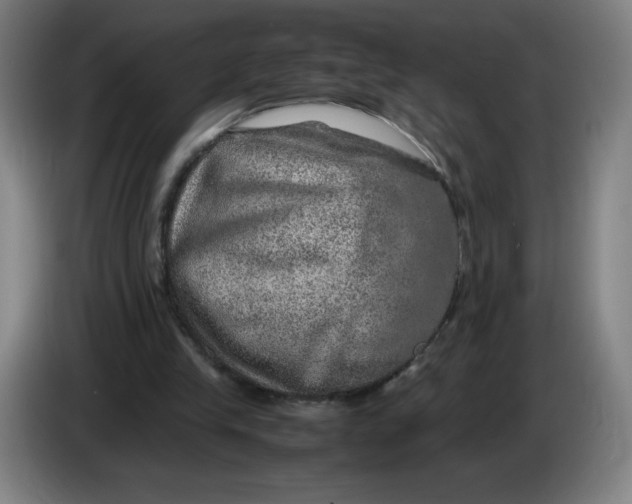 X0000085270245200703301900