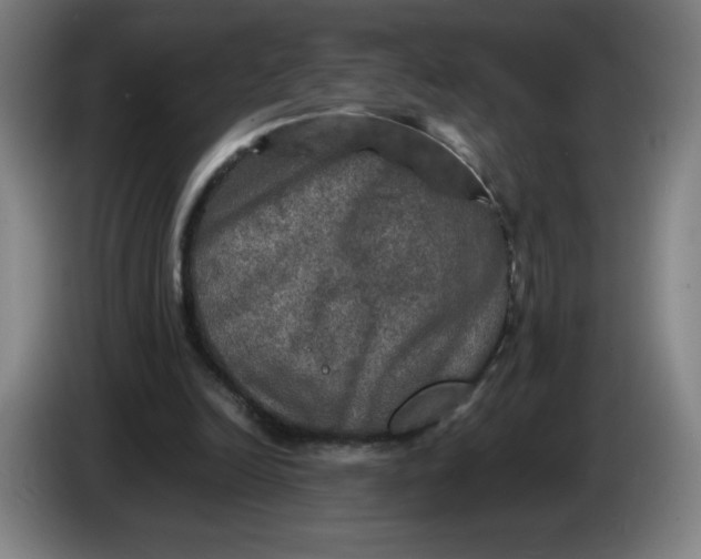 X0000085270246200703301900