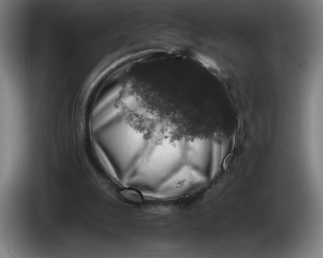 X0000085270247200703301900