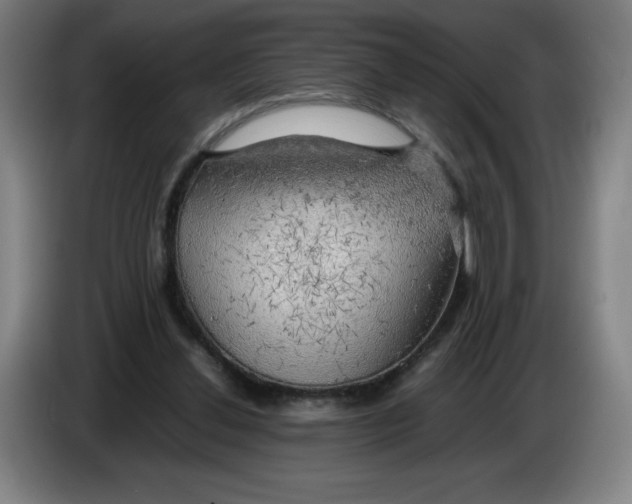 X0000085270252200703301900