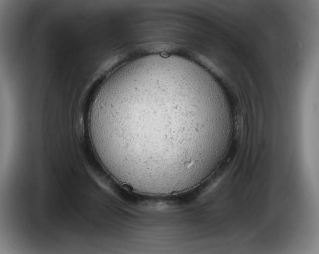 X0000085270254200703301900