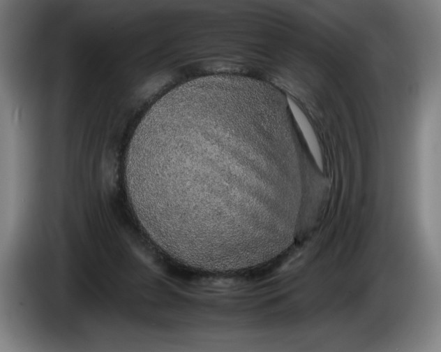 X0000085270255200703301900