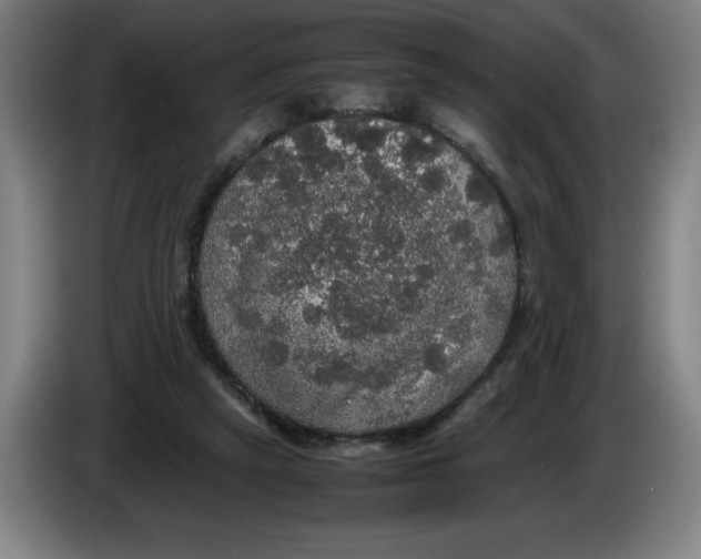 X0000085270257200703301900