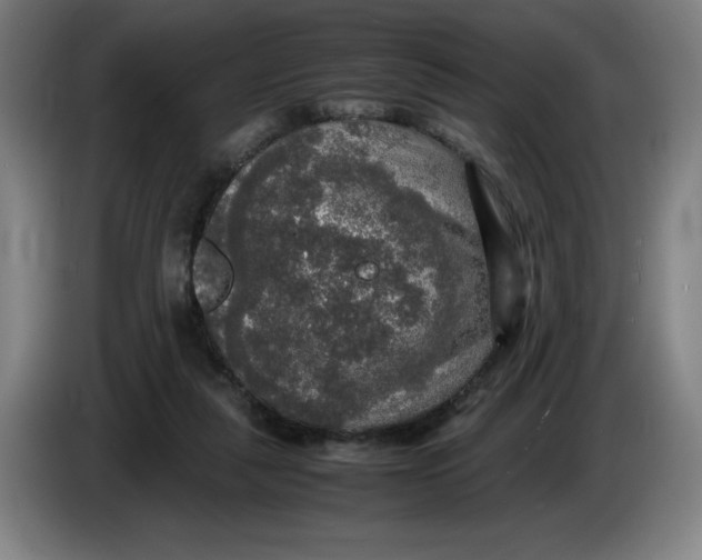 X0000085270259200703301900