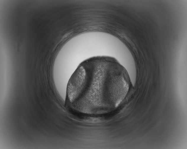 X0000085270260200703301900