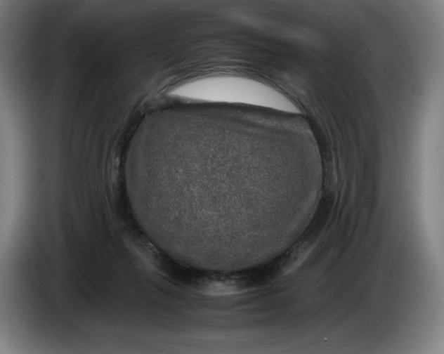 X0000085270263200703301900