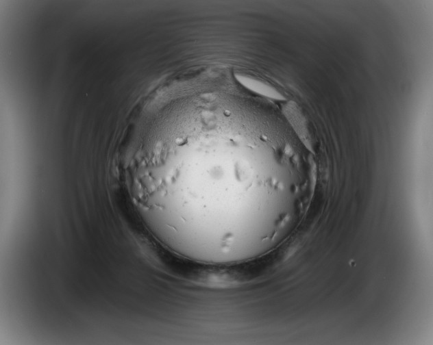 X0000085270264200703301900