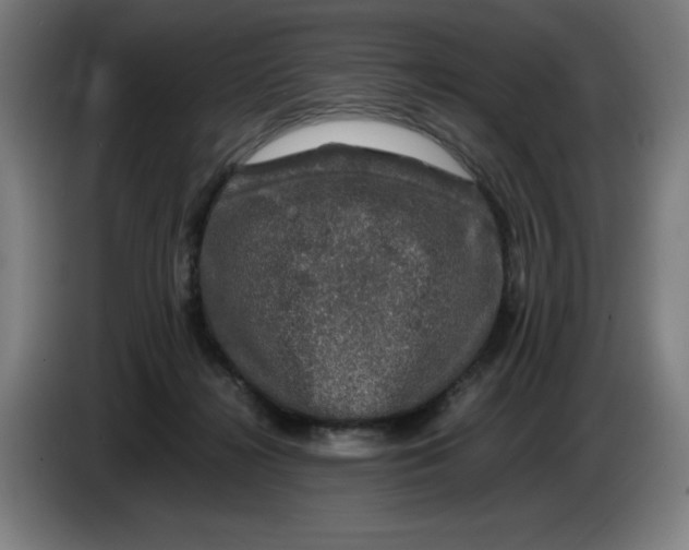 X0000085270268200703301900