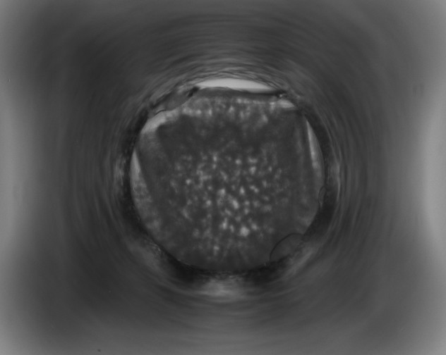 X0000085270271200703301901