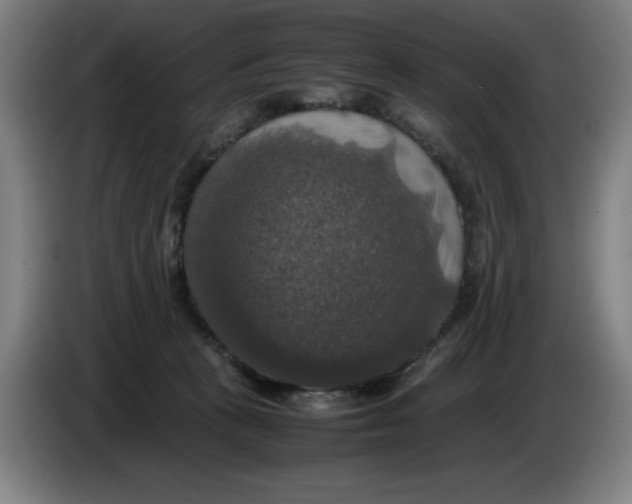 X0000085270273200703301901