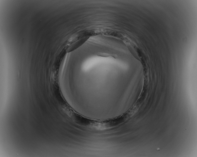 X0000085270276200703301901