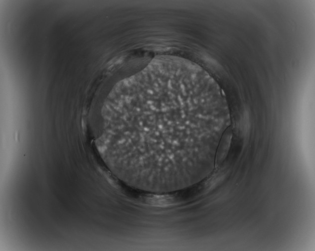 X0000085270277200703301901