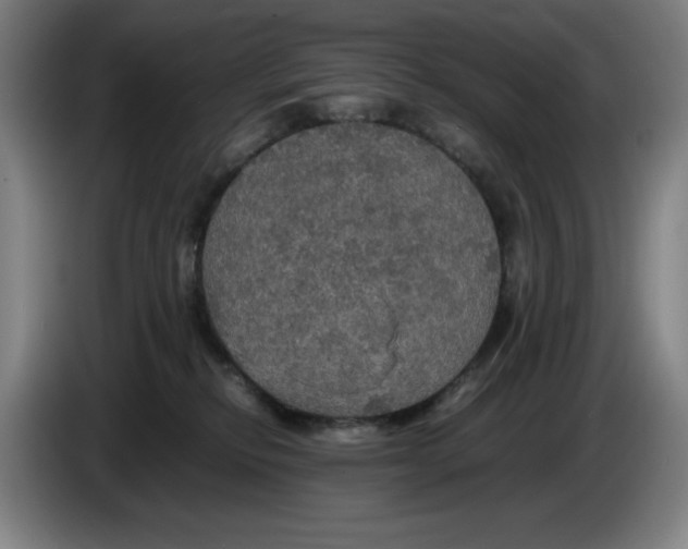 X0000085270278200703301901