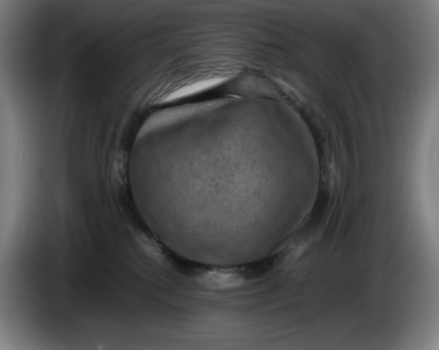 X0000085270280200703301901