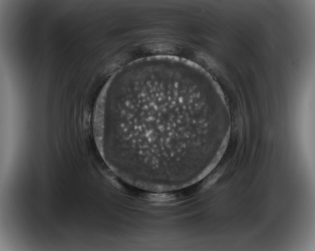 X0000085270281200703301901