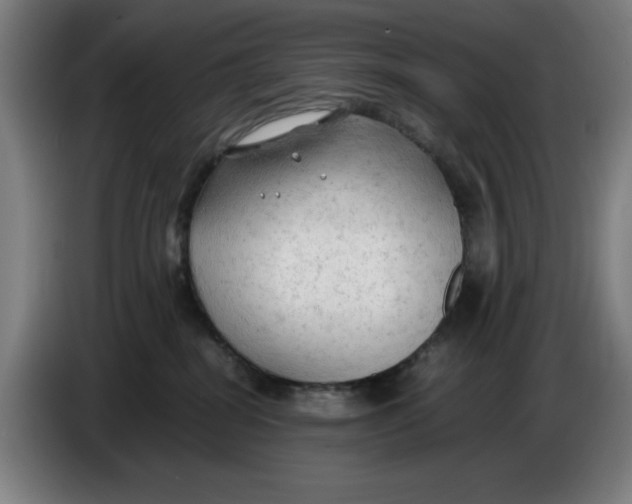 X0000085270282200703301901