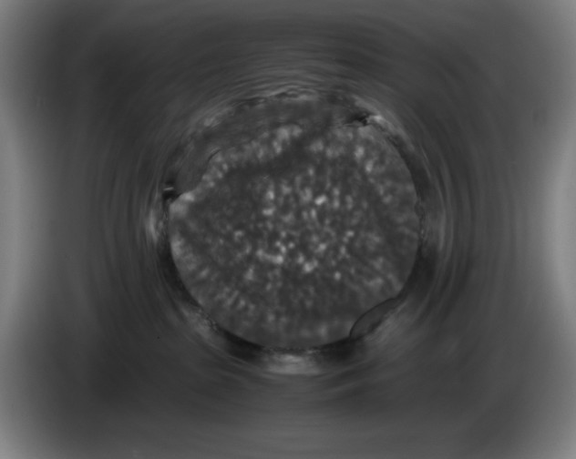 X0000085270285200703301901