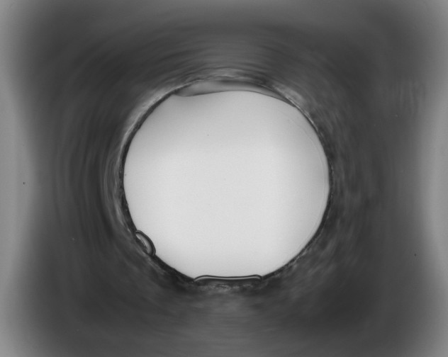 X0000085270289200703301900