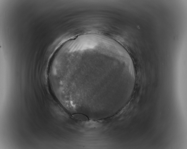 X0000085270290200703301900