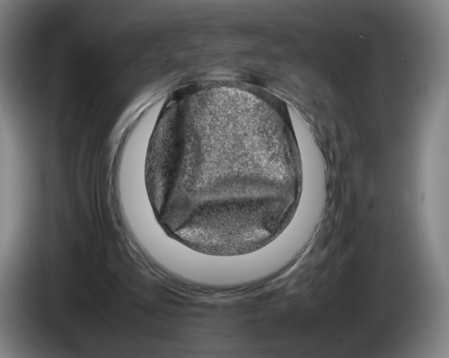 X0000085270293200703301900