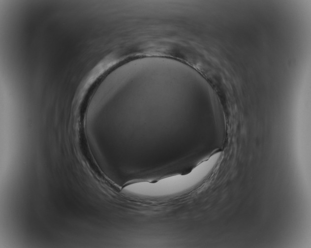 X0000085270295200703301900