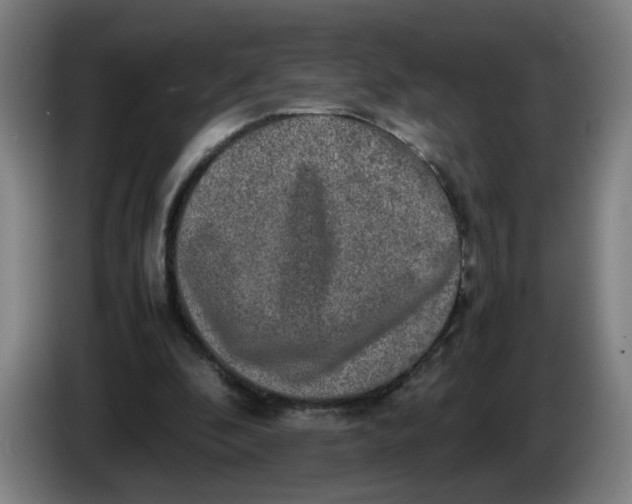 X0000085270296200703301900