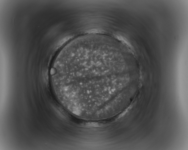 X0000085270298200703301900