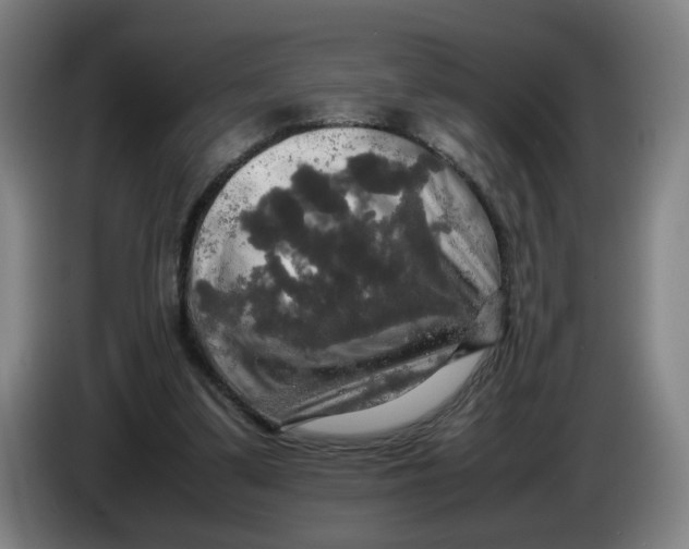 X0000085270299200703301900