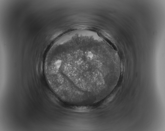 X0000085270301200703301900