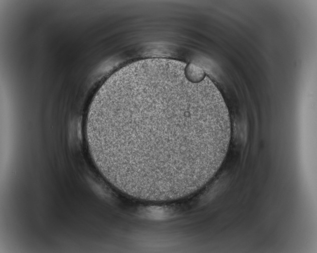 X0000085270302200703301900